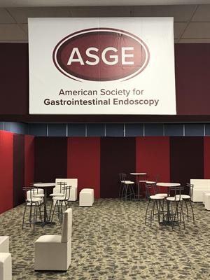 AMEG 2019